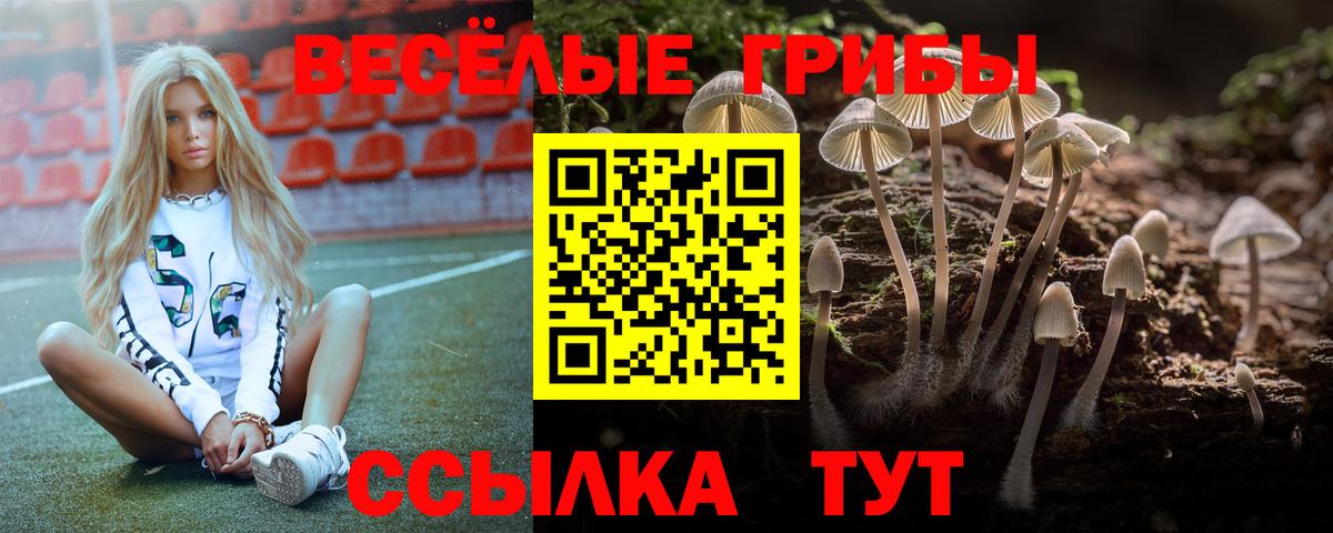 Галлюциногенные грибы GOLDEN TEACHER  Псилоцибиновые грибы мицелий  Вход с VPN  Гай 