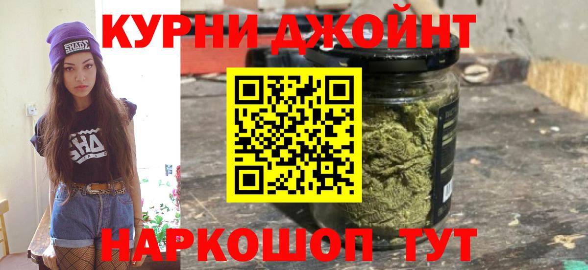 Гай  Конопля сатива  Вход с VPN  Бошки Шишки индика  Каннабис планчик 